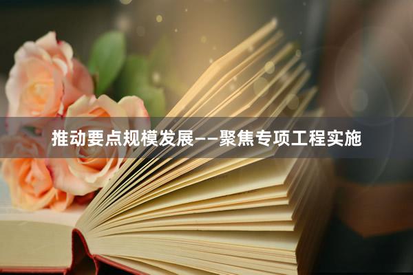 推动要点规模发展——聚焦专项工程实施