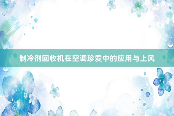 制冷剂回收机在空调珍爱中的应用与上风